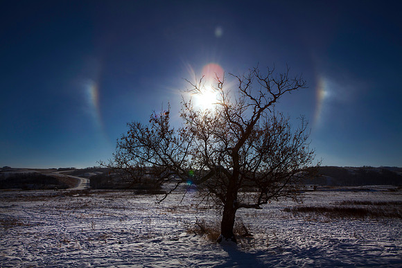 SUN DOGS