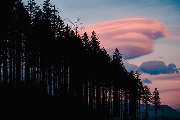 LENTICULAR