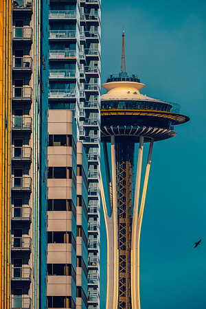 DOWNTOWN NEEDLE