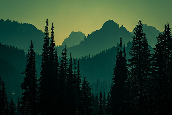 PACIFIC NORTH WEST