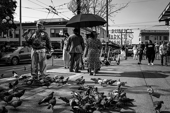 PIGEON MAN
