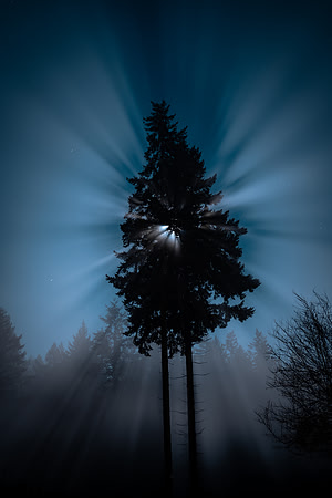 Looking For E.T.