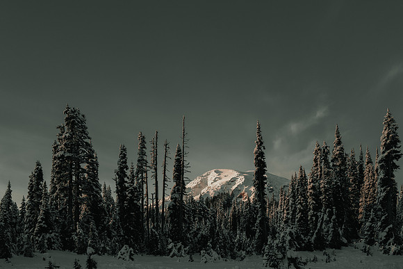 Rainier peeking