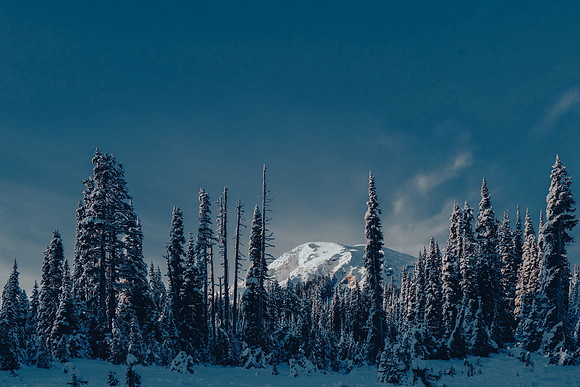 Rainier peeking (color variant)