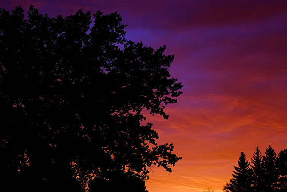 NODAK SKY