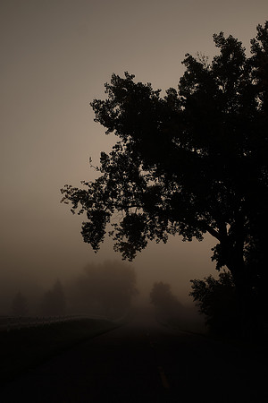 FOGGY MORNING