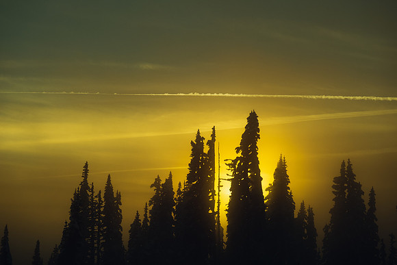 EVENING GLOW