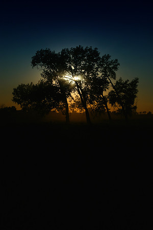 SETTING SUN