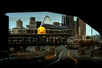 DUCK DUCK